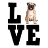 Pug