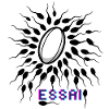 Essai