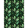 Dunkler Urwald