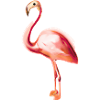Flamingo pink pink gift idea