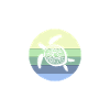 Turtle Retro Graphic