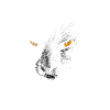 Cat in the dark