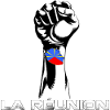 Fist Flag Reunion