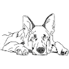 Schäferhund