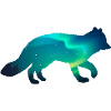 Arctic fox