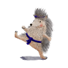 Karate Igel