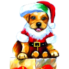 Christmas Puppy