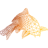 Carp Passion Polygondesign