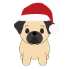 Carlin Noël