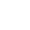 Web Designer