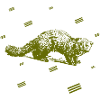 Rat - rodent