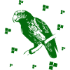 Parrot - Cockatoo - Bird - Nature