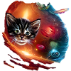 Chat dans l’espace