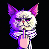 Cat with middle finger