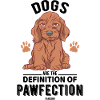 süßer Hund