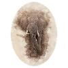 Wandelnder Elefant