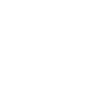 Peintre Vernisseur Fun