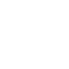 Painter Varnisher