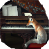 Fox au piano