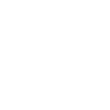 Painter Varnisher Lustig