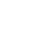 Painter Varnisher Funny