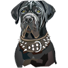 mastiff