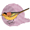 Oiseau