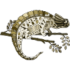 Chameleon