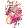 Flamingo bird
