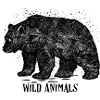 Wild Animals_Bär