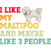 Chien Maltipoo