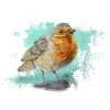 Das Rotkelchen