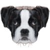 schöne hündchen, Boxerbaby
