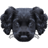 weihnachtsgeschenke für jedermann, Cocker spaniel