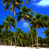 Calm beach