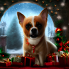 Little dog among Christmas presents