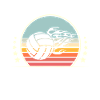 Volley-ball