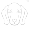Vizsla face