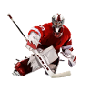 Ice hockey goaltender