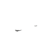 Crazy Wife Husband Gift Funny