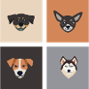 Dog Hund