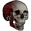 PIXEL SKULL