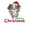 Australian Shepherd Merry Christmas Animals