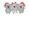 Koala Christmas Animals Cute Koalas