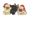 Pug Christmas Animals Cute Dogs