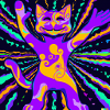 Acidcat Paul