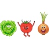 Tomato onion salad humor