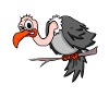 Vulture