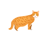 Life is better with cats
