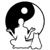 Yoga Méditation Chats Méditer Chat